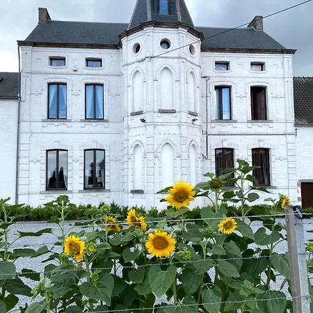 Le Chateau De Frankie Spas-saunas Bed & Breakfast Grand-Reng